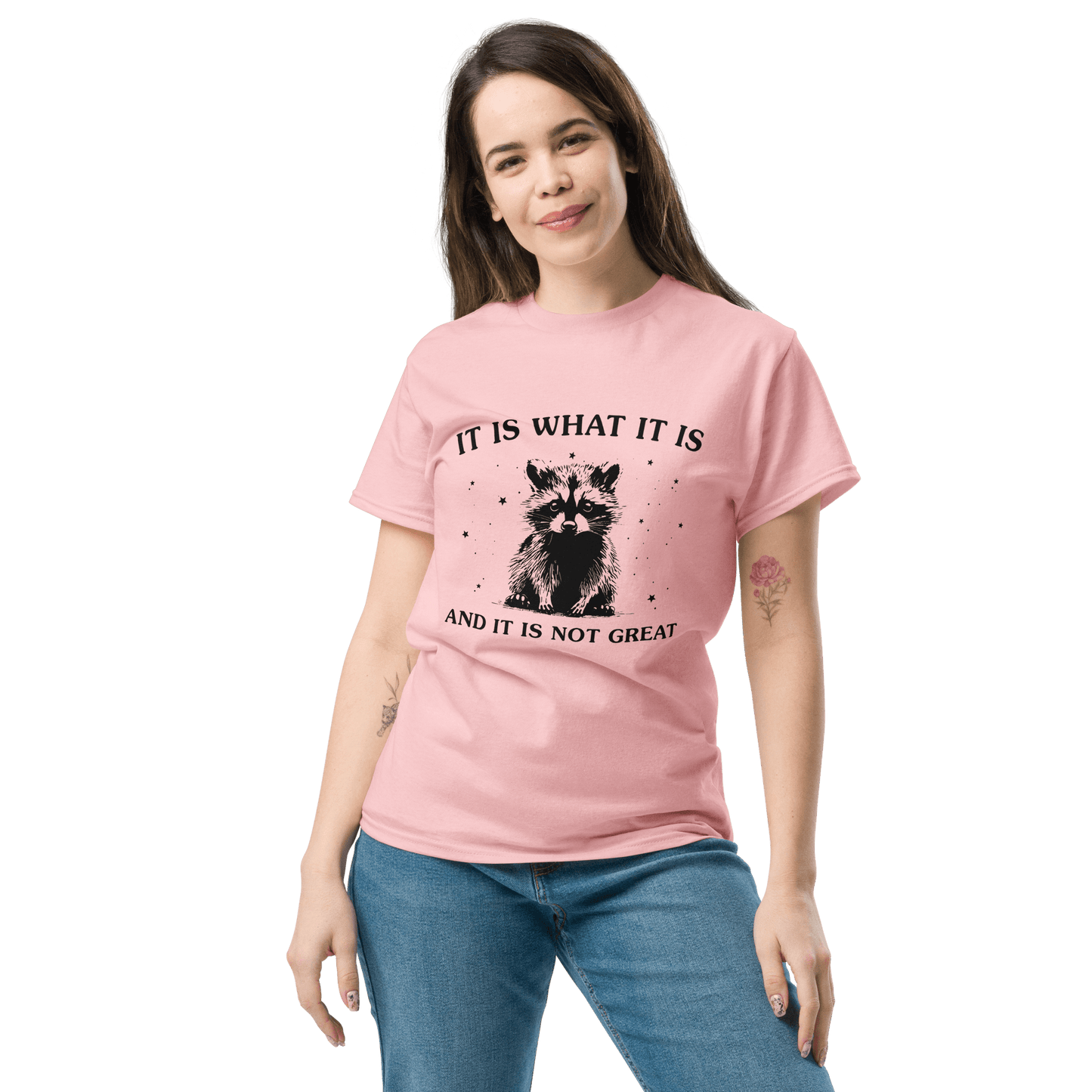 It Is What It Is Classic T-Shirt Meme - Ash | Shirtposting