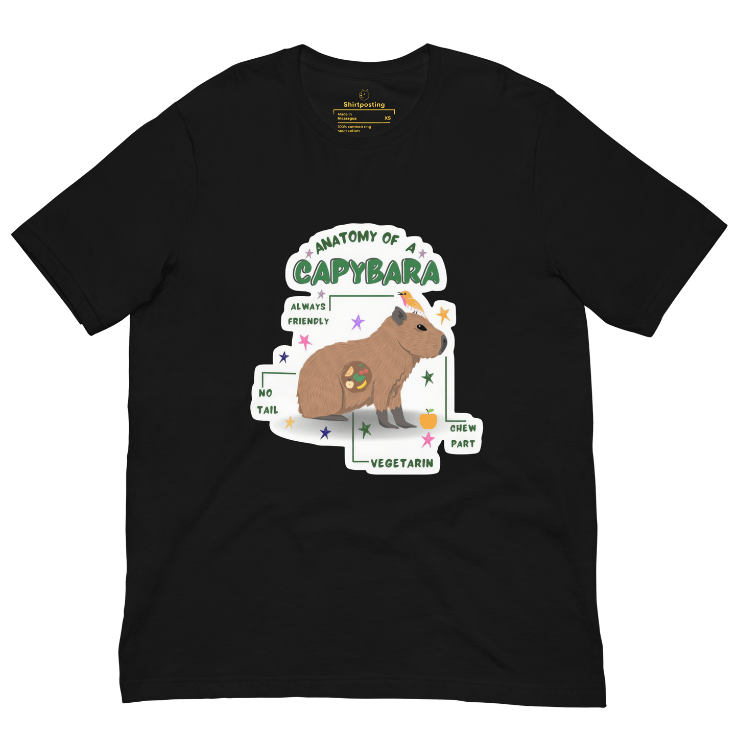 Anatomy of a Capybara Classic T-Shirt Meme - Black | Shirtposting