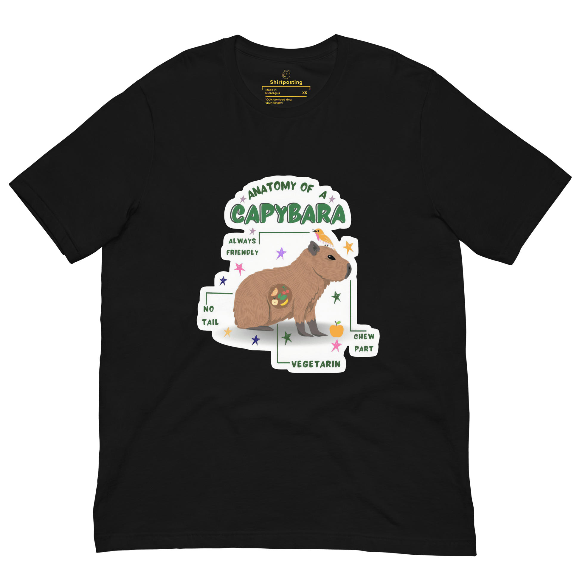 Anatomy of a Capybara Classic T-Shirt Meme - Black | Shirtposting