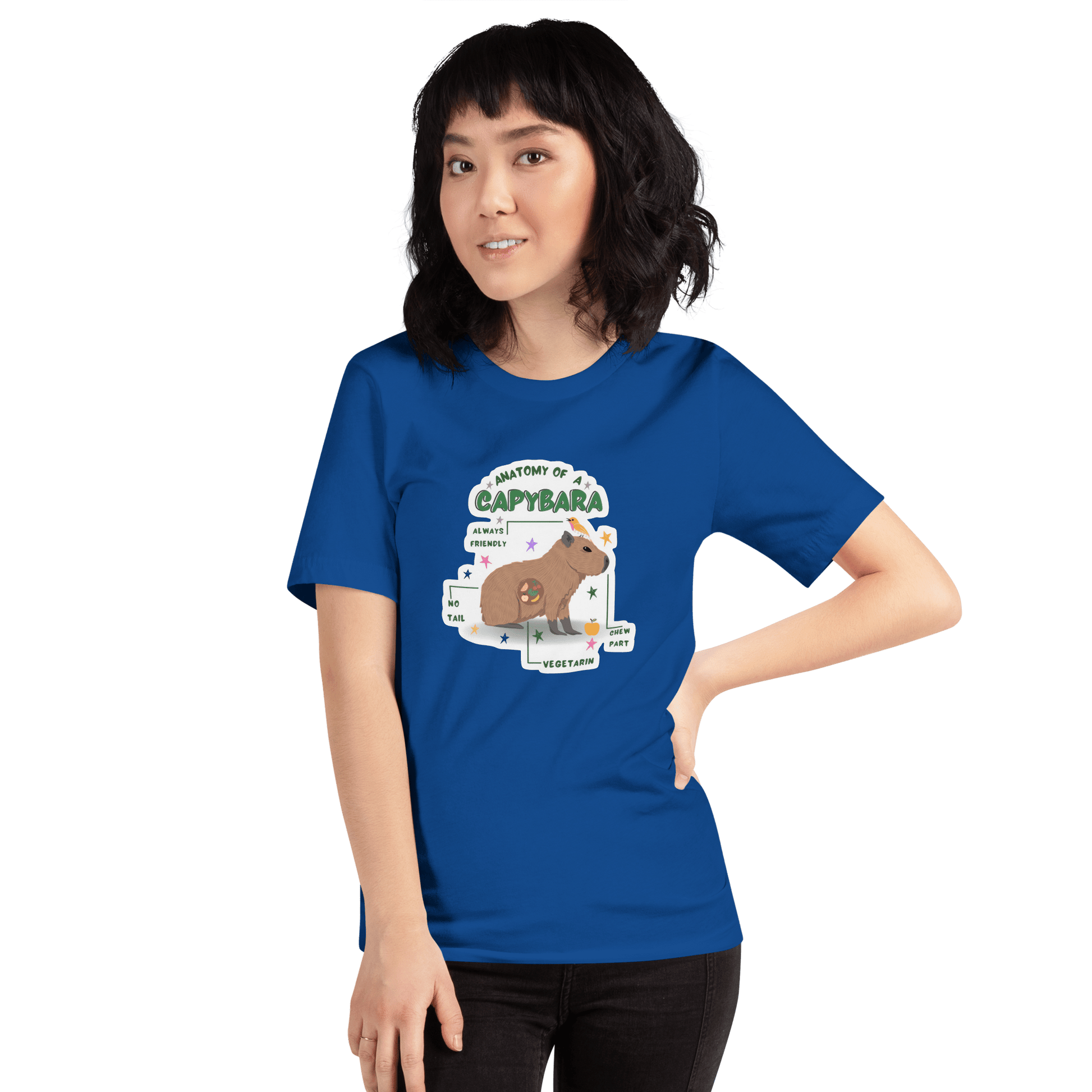 Anatomy of a Capybara Classic T-Shirt Meme - Dark Grey | Shirtposting