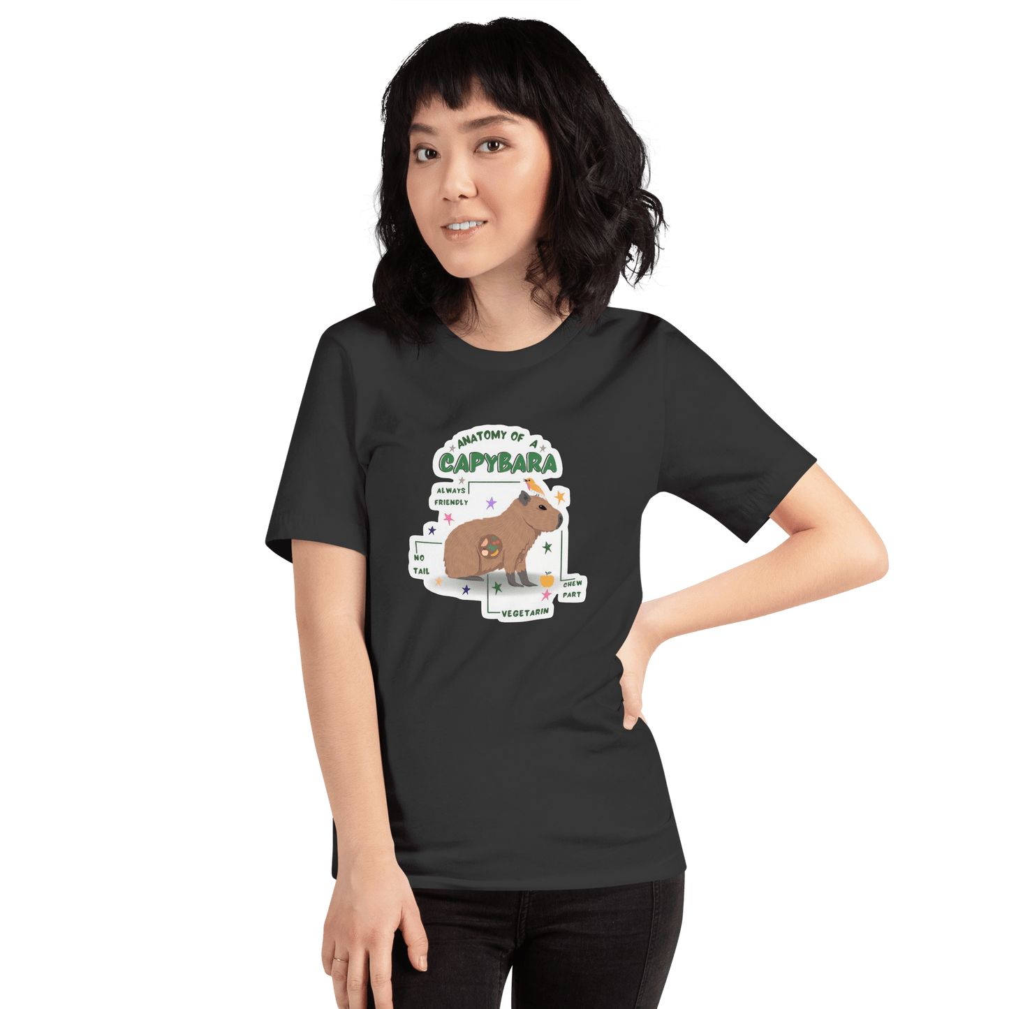 Anatomy of a Capybara Classic T-Shirt Meme - Dark Grey | Shirtposting