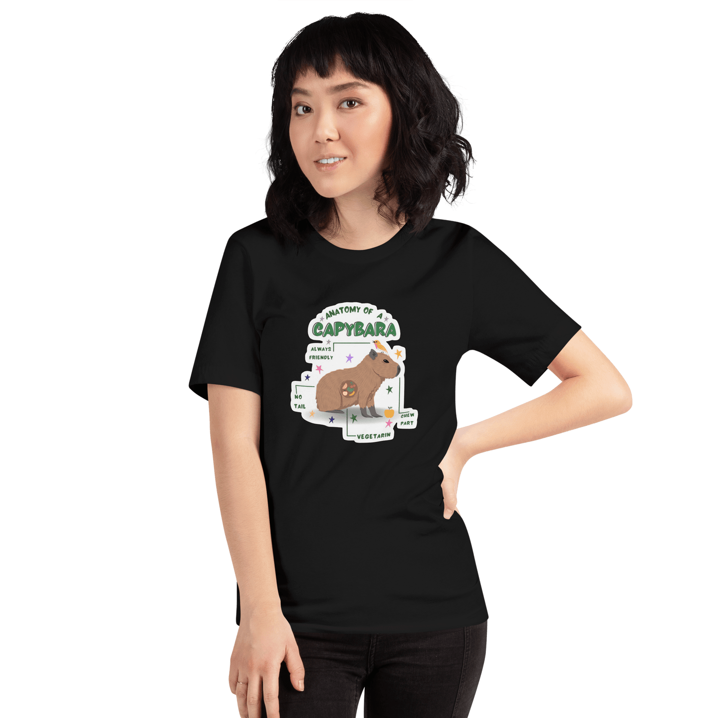 Anatomy of a Capybara Classic T-Shirt Meme - Dark Grey | Shirtposting