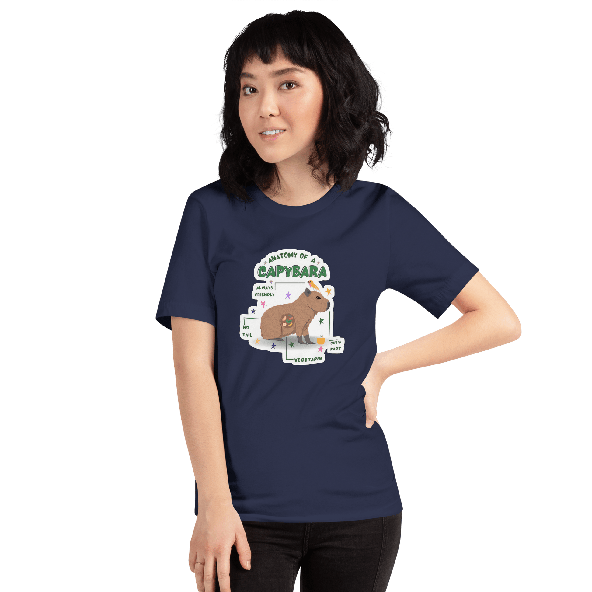 Anatomy of a Capybara Classic T-Shirt Meme - Dark Grey | Shirtposting