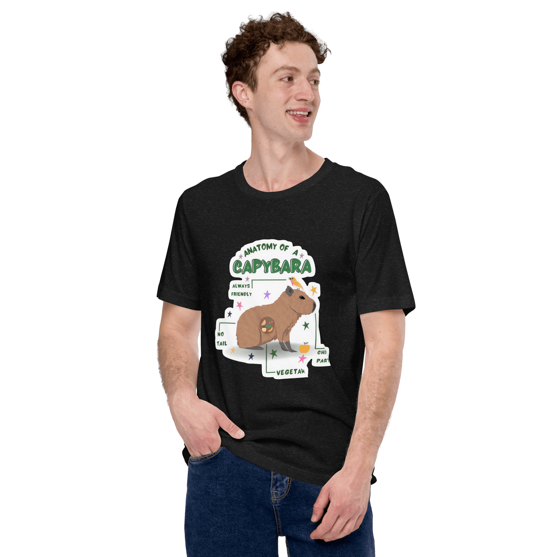 Anatomy of a Capybara Classic T-Shirt Meme - Dark Grey | Shirtposting