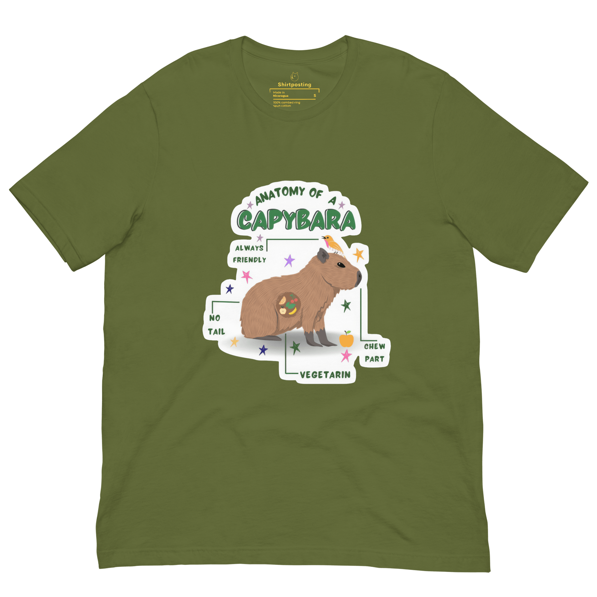 Anatomy of a Capybara Classic T-Shirt Meme - Navy | Shirtposting
