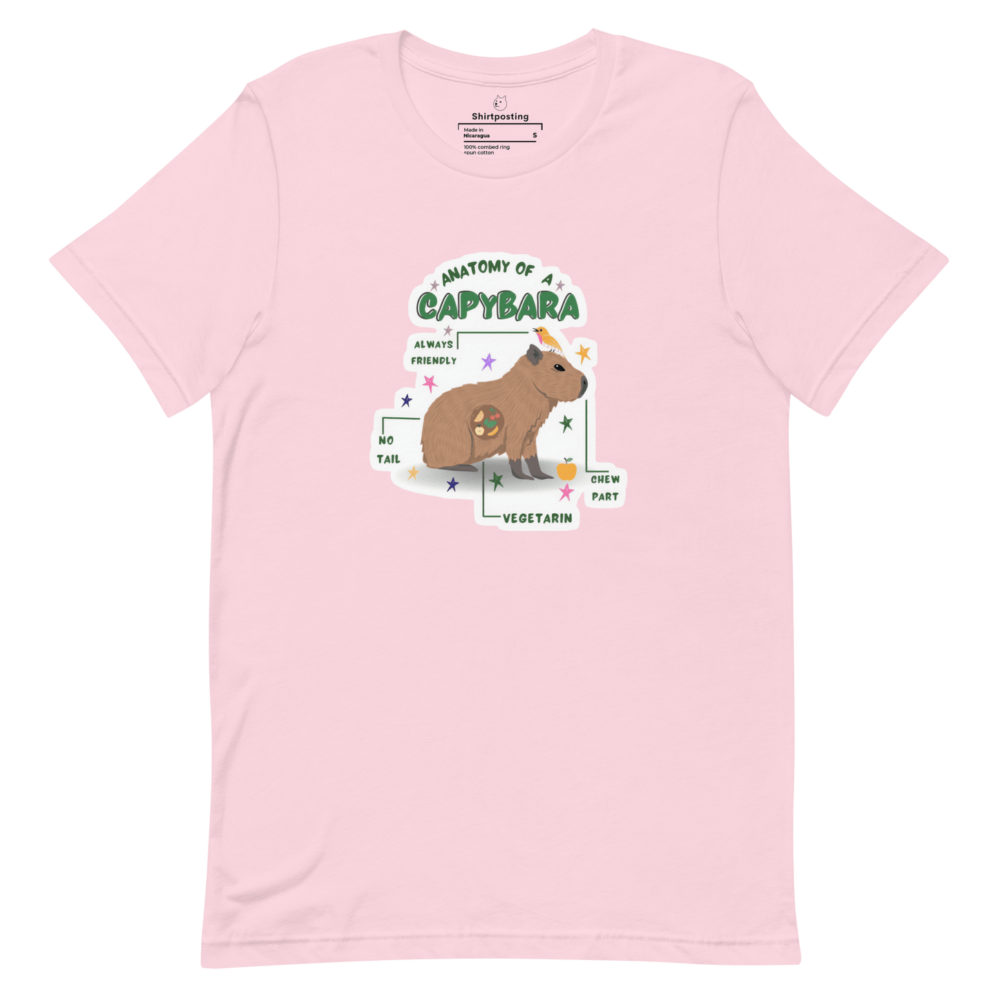 Anatomy of a Capybara Classic T-Shirt Meme - Soft Pink | Shirtposting