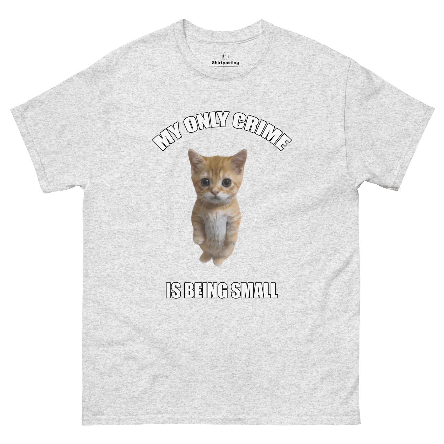 Being Small Classic T-Shirt Meme - Ash | Shirtposting