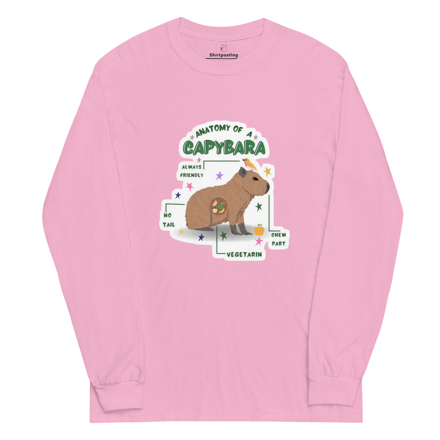 Capybara Long Sleeve T-Shirt Meme - Light Pink | Shirtposting