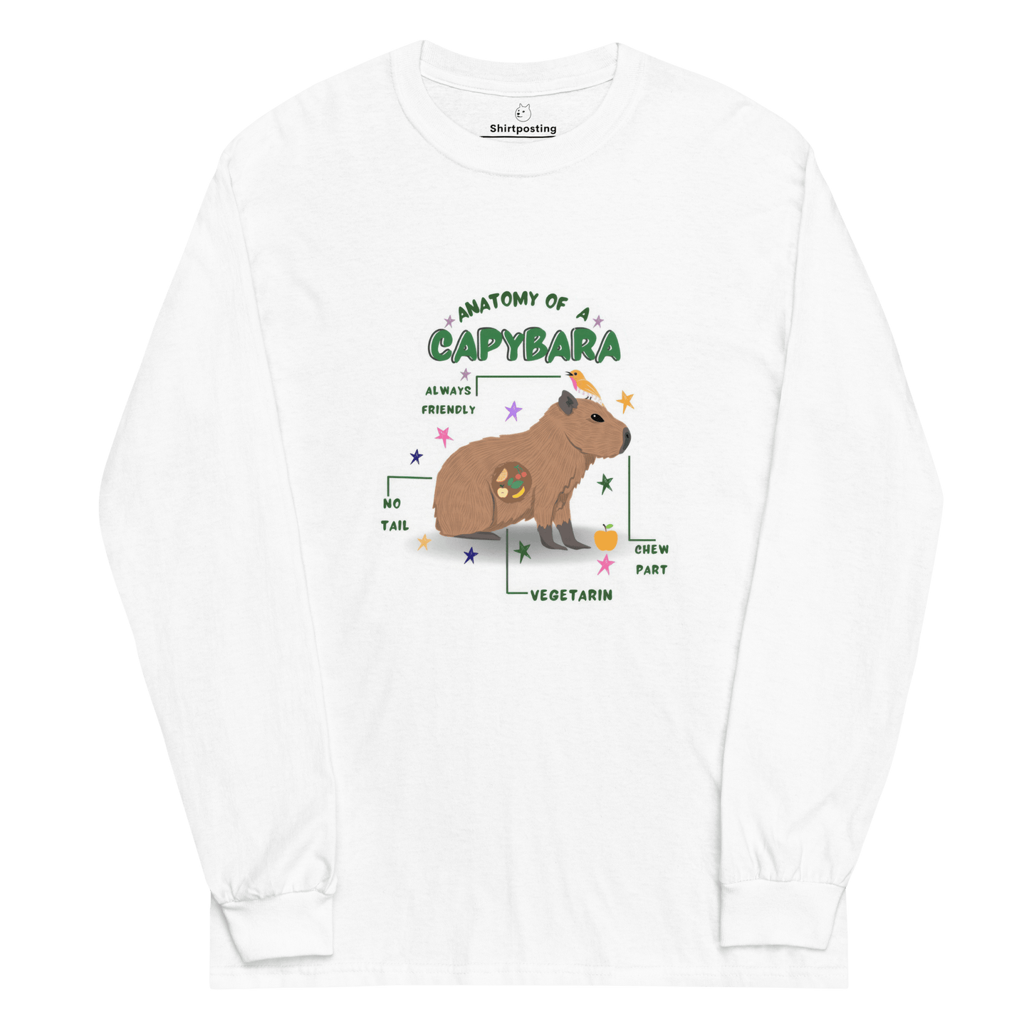 Capybara Long Sleeve T-Shirt Meme - White | Shirtposting