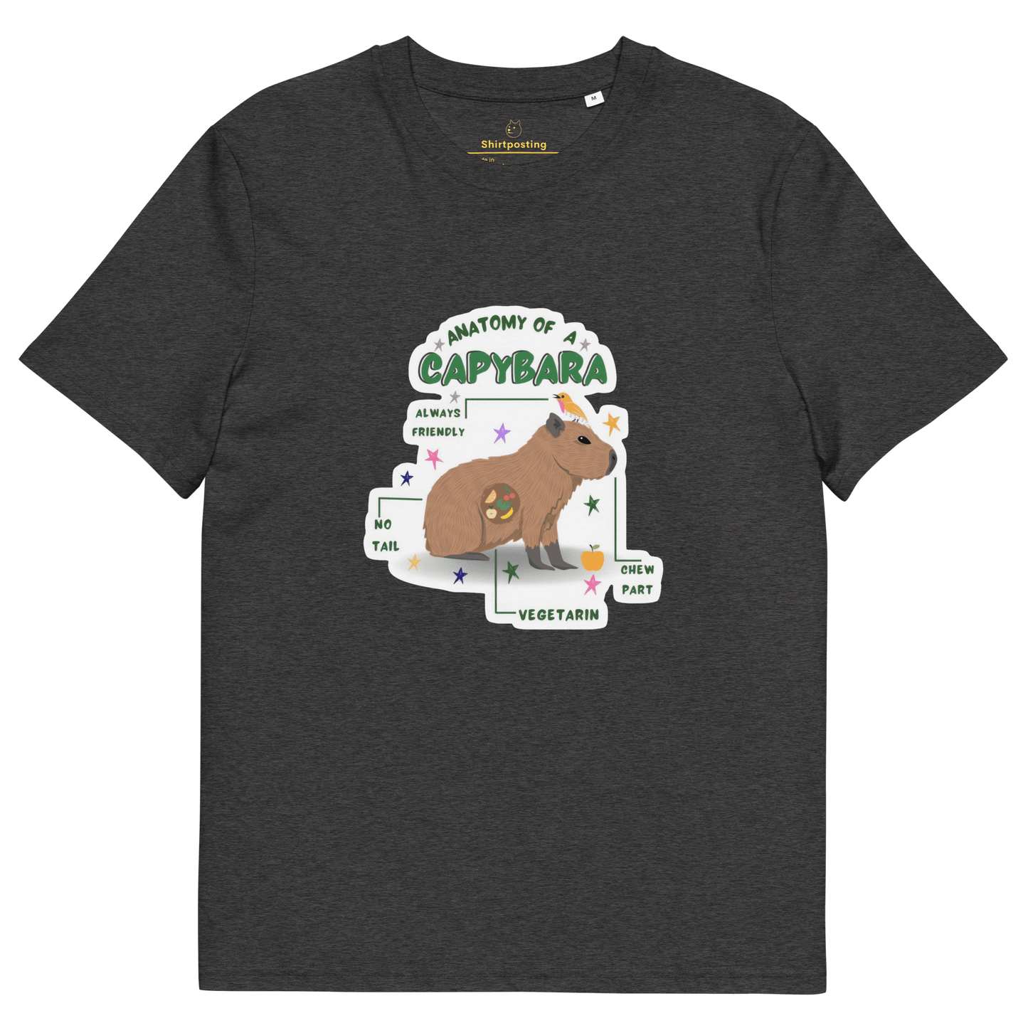 Capybara Premium Organic T-Shirt Meme - Dark Heather Grey | Shirtposting