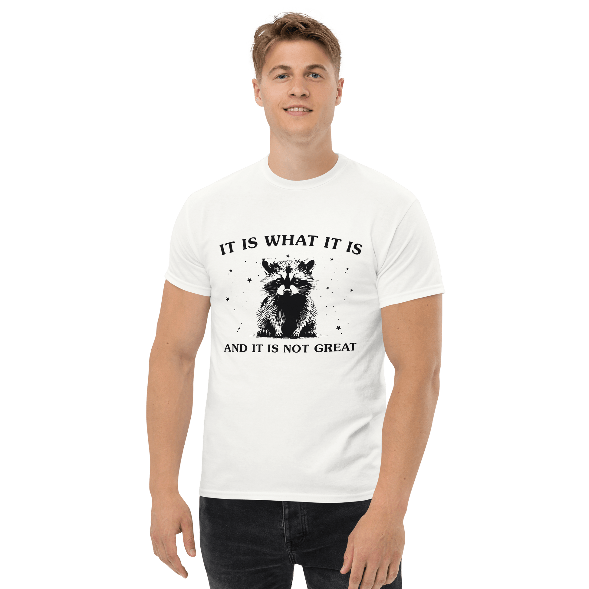 It Is What It Is Classic T-Shirt Meme - Ash | Shirtposting
