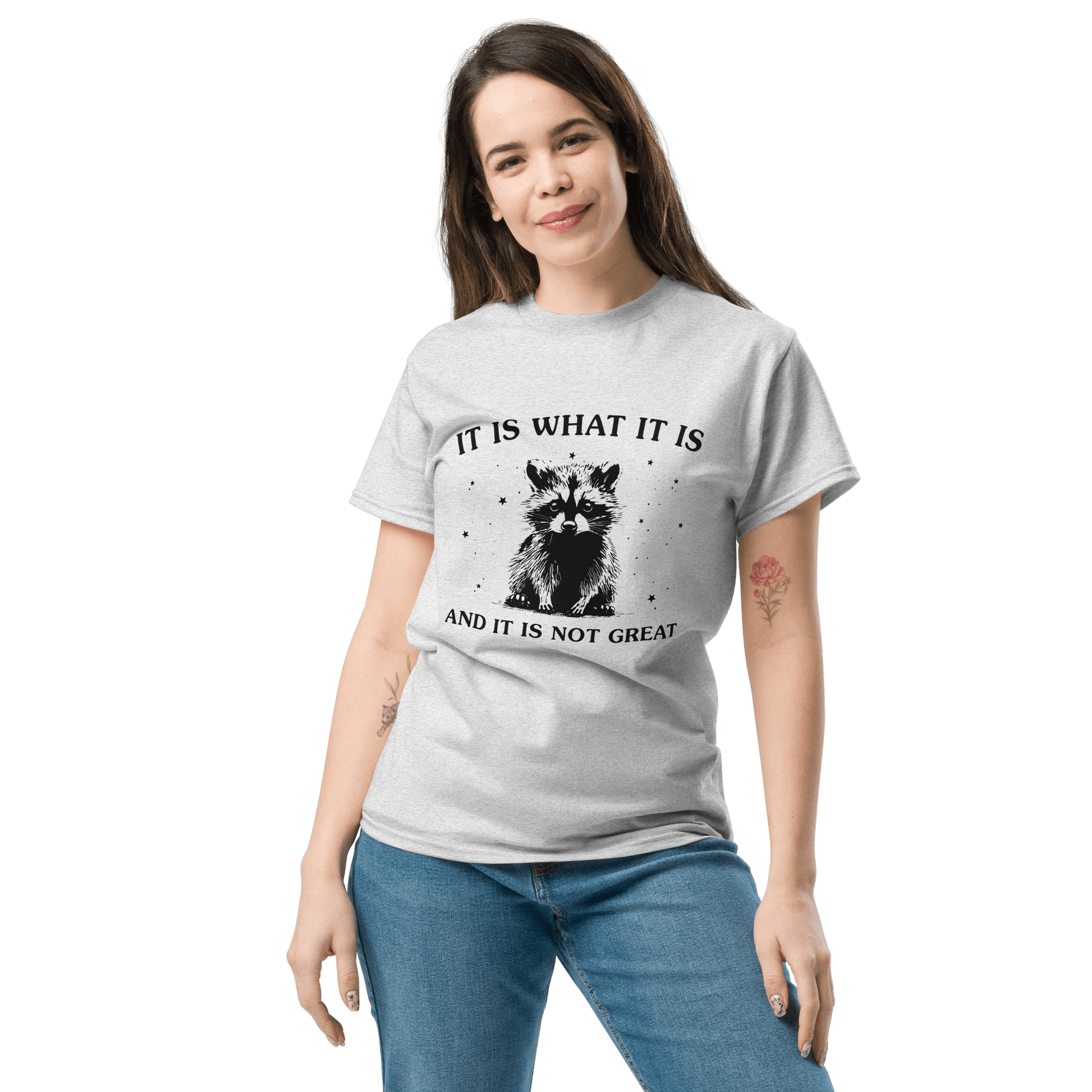 It Is What It Is Classic T-Shirt Meme - Ash | Shirtposting