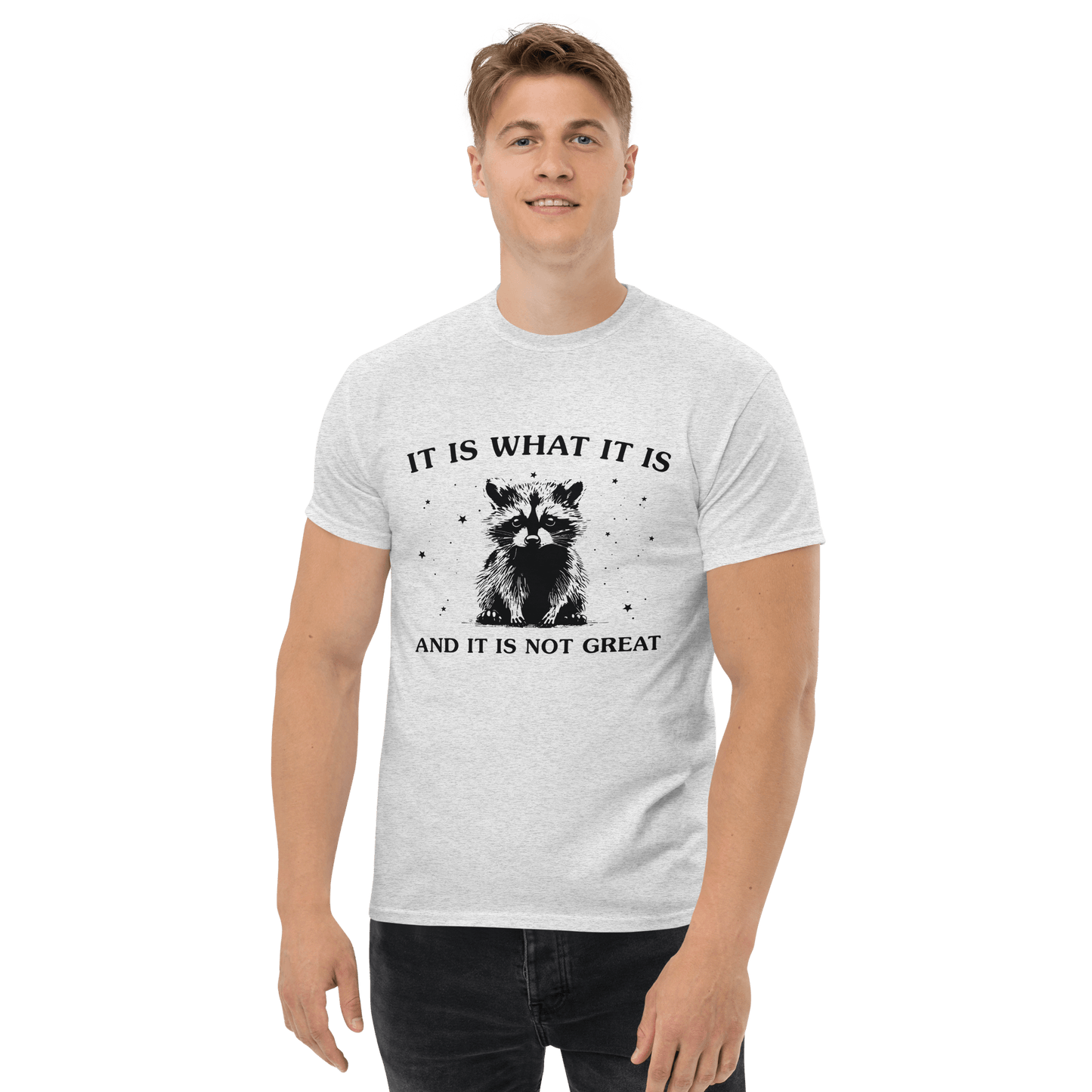 It Is What It Is Classic T-Shirt Meme - Ash | Shirtposting