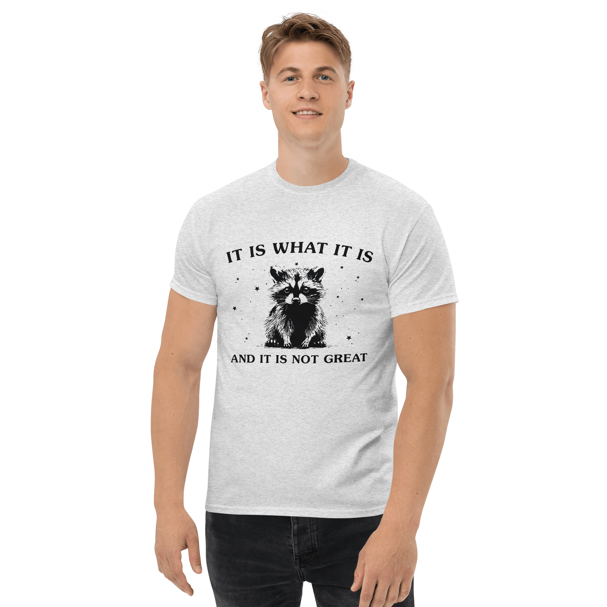 It Is What It Is Classic T-Shirt Meme - Ash | Shirtposting