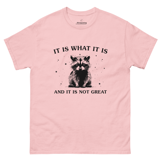 It Is What It Is Classic T-Shirt Meme - Light Pink | Shirtposting