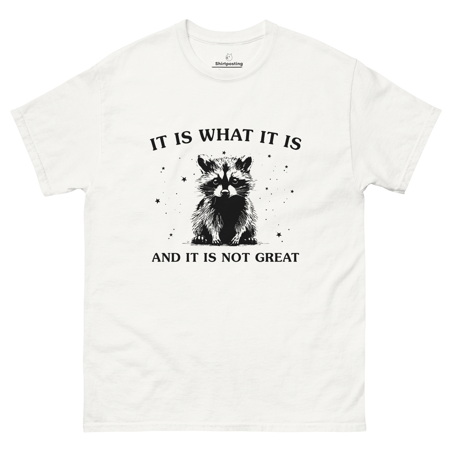 It Is What It Is Classic T-Shirt Meme - White | Shirtposting
