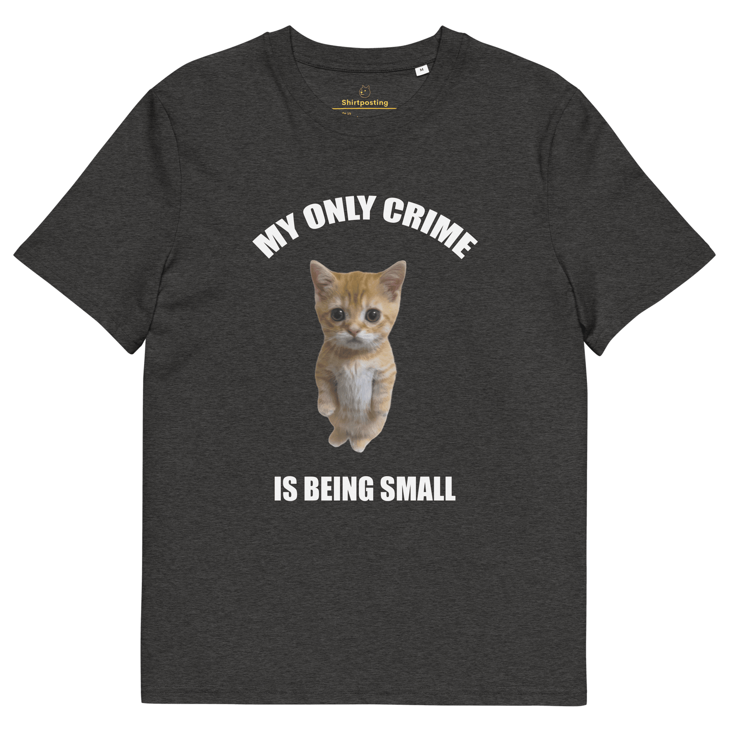 My Only Crime Is Being Small Premium Organic T-Shirt Meme - Dark Heather Grey | Shirtposting